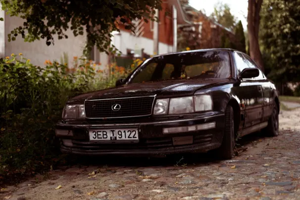 Casino Jackpot Molly App Android/iOS